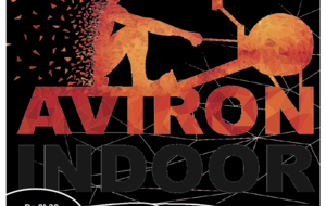 Animation Aviron Indoor